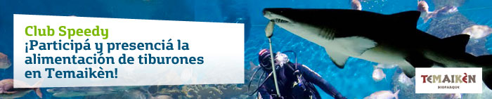 ¡Club Speedy te invita a presenciar la alimentación de tiburones en Temaikén!